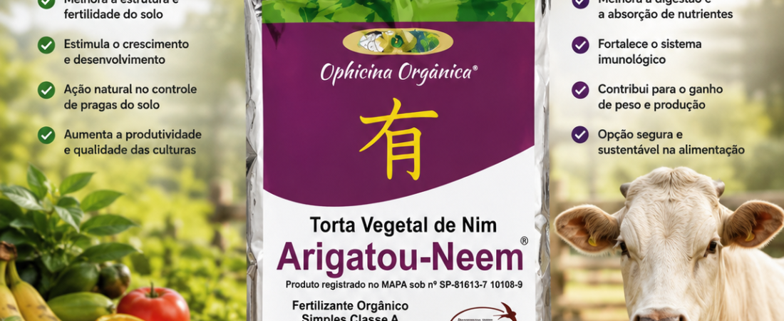 TORTA DE NEEM